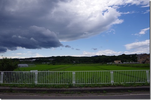 IMGP7326 IMGP7326