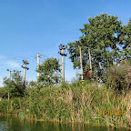 IMG_8064.JPG
