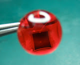 Part of the NCR Scan Engine, a light-sensitive photo-diode encapsulated in epoxy behind a lens is shown.  Note the small bubble near the middle of diode, an early defect which was eliminated during the extensive process development Capture PD performed in the course of developing the Scan Engine.