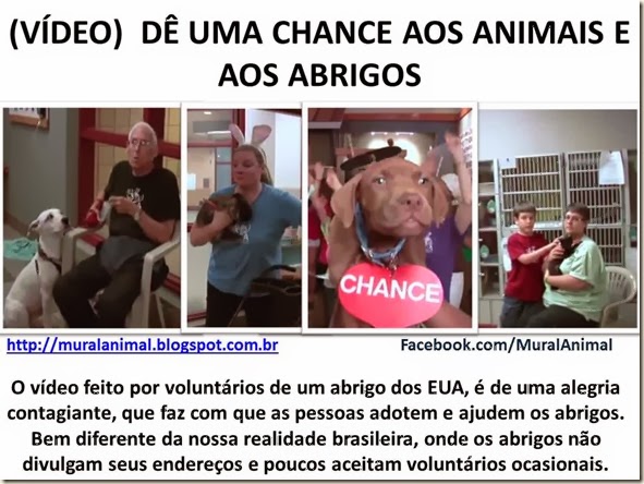 VÍDEO)  DÊ UMA CHANCE AOS ANIMAIS