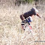 P1080111_2.jpg P1080111_2.jpg