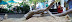 National Zoo in August