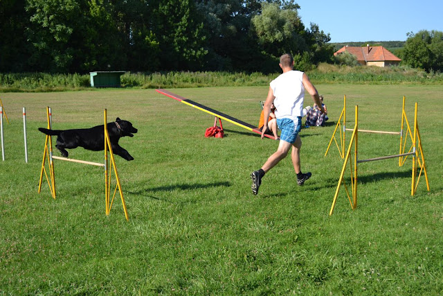 Agility_trenink_10.7.2011_023.jpg