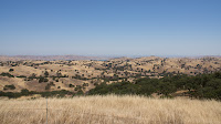 DSC02992.jpg
