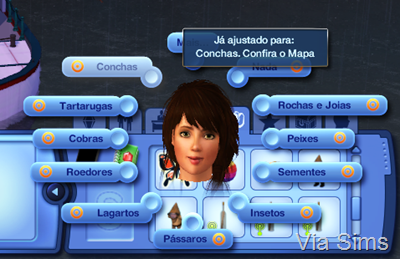 assistente de coleção 10 assitente