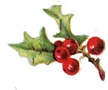 hollyberries