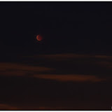 res_IMG_3818.JPG