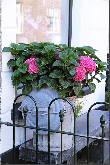 Home & Lifestyle Home & Lifestyle