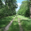 Forêt d'Aumont.JPG