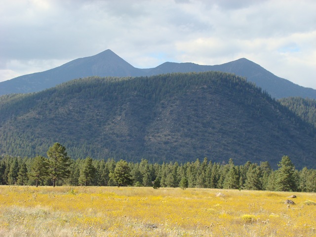 [DSC00963%255B3%255D.jpg]