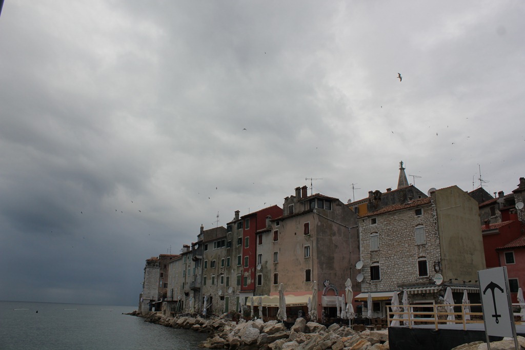 [IMG_6934%255B4%255D.jpg]