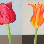 tulipmix14.jpg