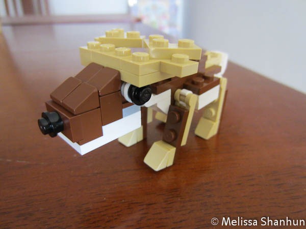 [20111209%2520Reindeer%252003%255B3%255D.jpg]