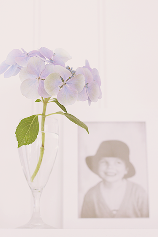 Hortensia-fra-hagen2 Hortensia-fra-hagen2