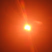 IMG_0837.JPG