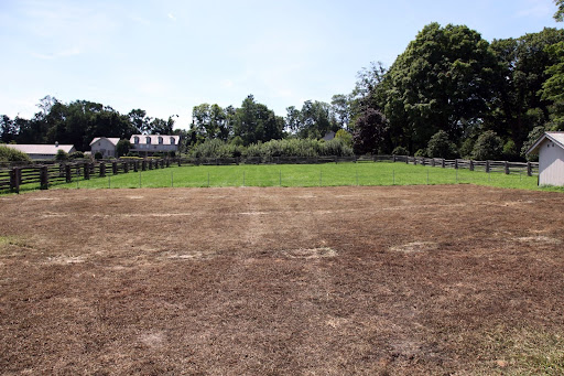 The large tarps covering the grass have been removed, leaving not very much behind!  A layer of topsoil will be spread over the dried grass.