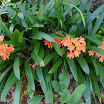 P1000736.JPG