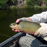 2011-09-09 Gary fishing on the Bitterroot