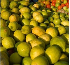 limone 2 limone 2
