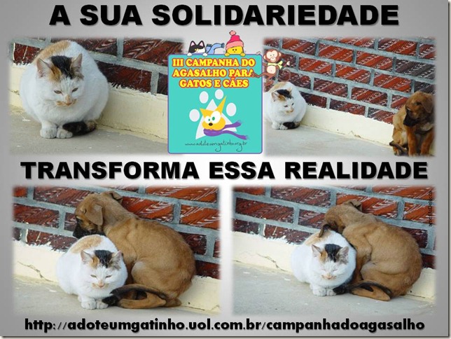 campanha_agasalho campanha_agasalho