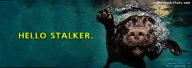beautiful-facebook-timeline-cover-18