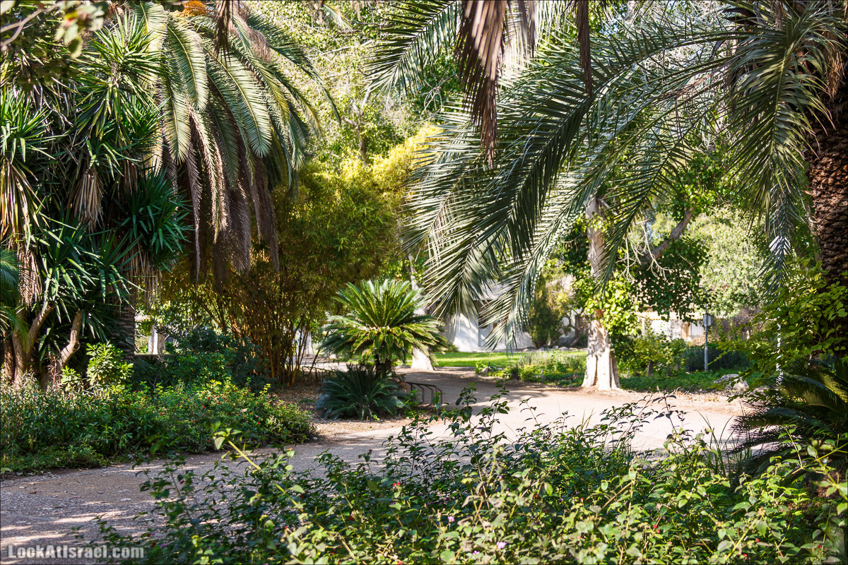 Кфар Рупин - кибуц людей и птиц