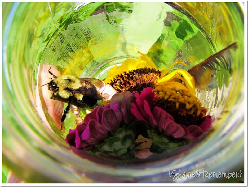 beeinjar