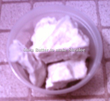 [PICT3119%255B22%255D.jpg]