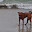 DSC_0168.jpg