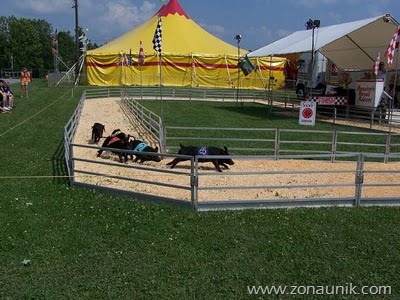[balap%2520babi%25201%255B3%255D.jpg]