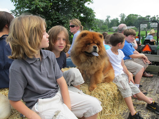 Ladies and gentlemen, we hope you've enjoyed the tour of the farm.  May I suggest that tipping is appreciated?