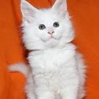 La Flaca 2 months - copia.JPG