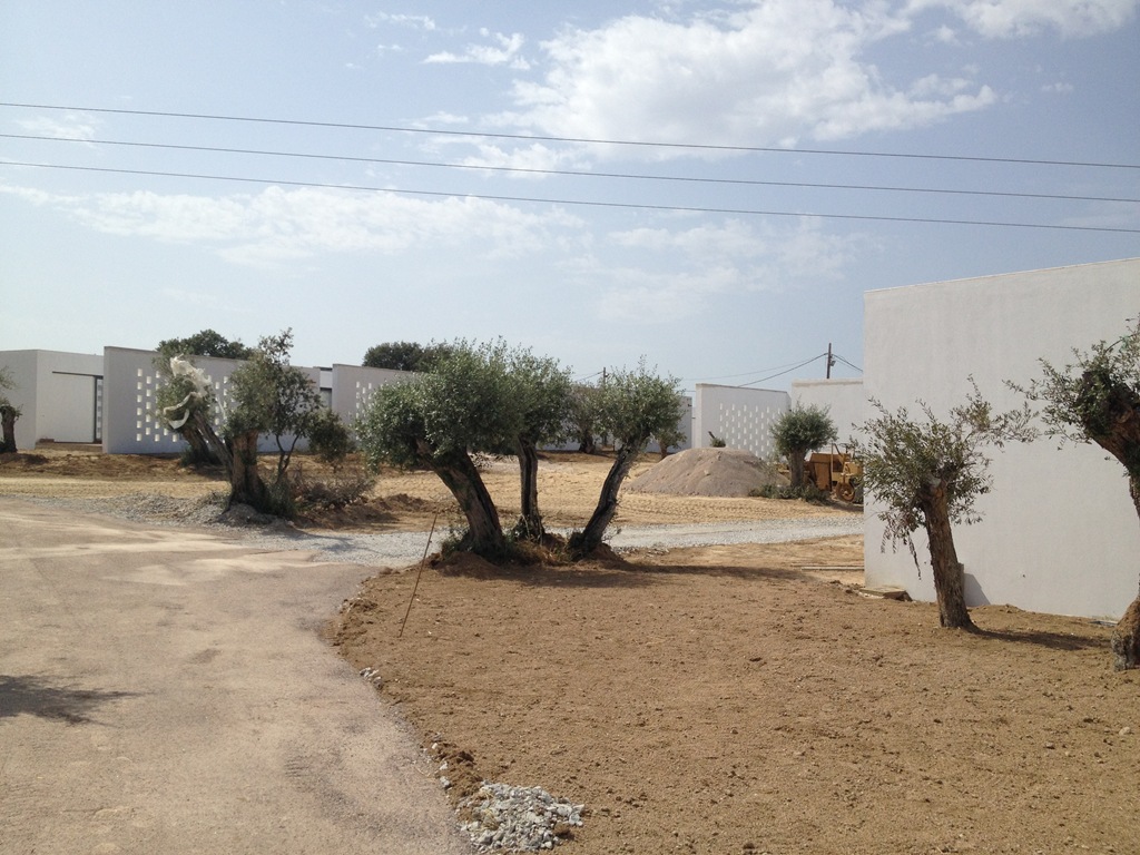 [IMG_2758%255B3%255D.jpg]