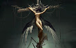 Fine Companion