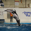 hokkaido_464.jpg