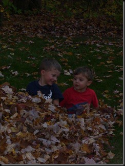 fun in the leaves