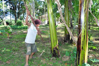 pinoyecofarm cleofe & ramos _0064.JPG