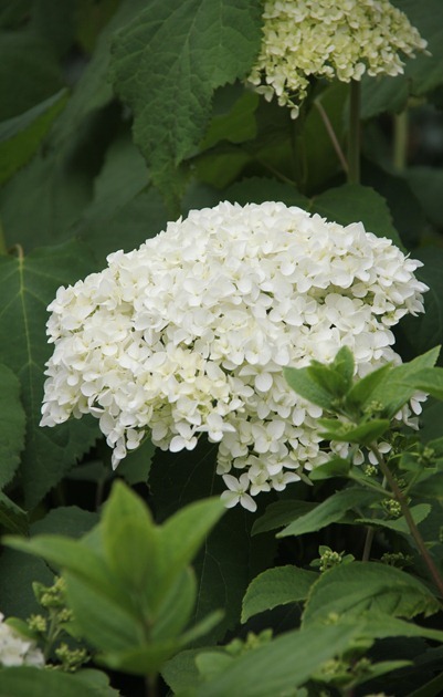 009_thumb18 009_thumb18