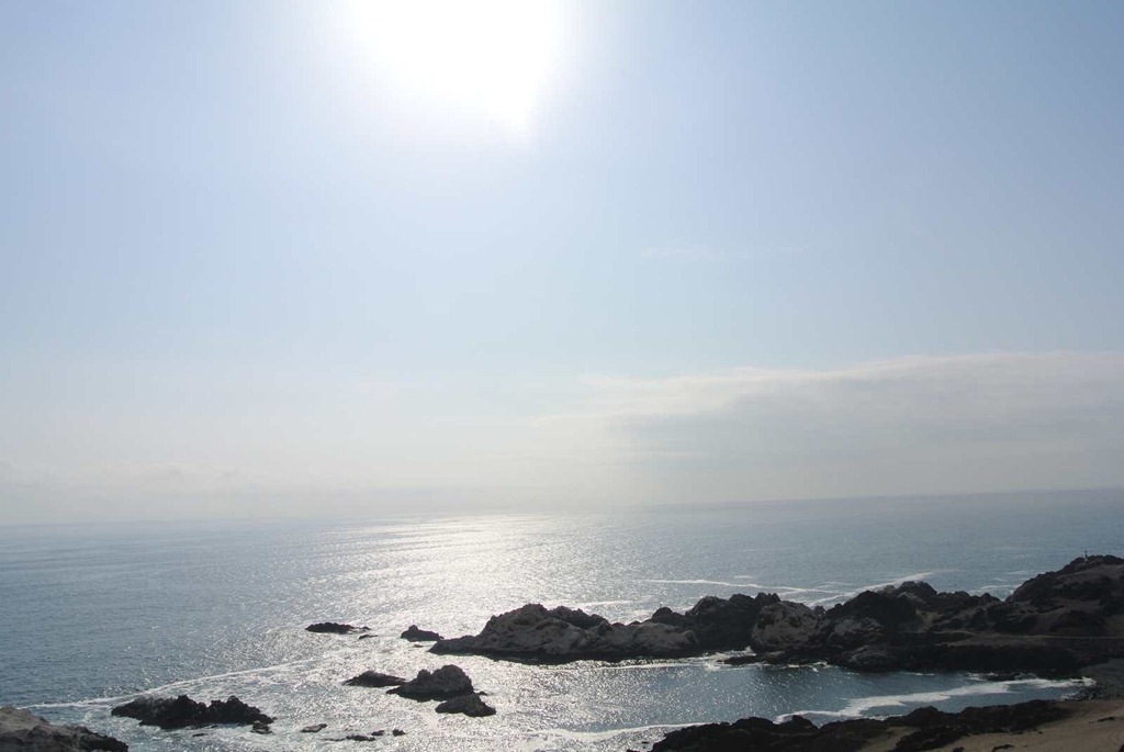 [DSC_72803.jpg]