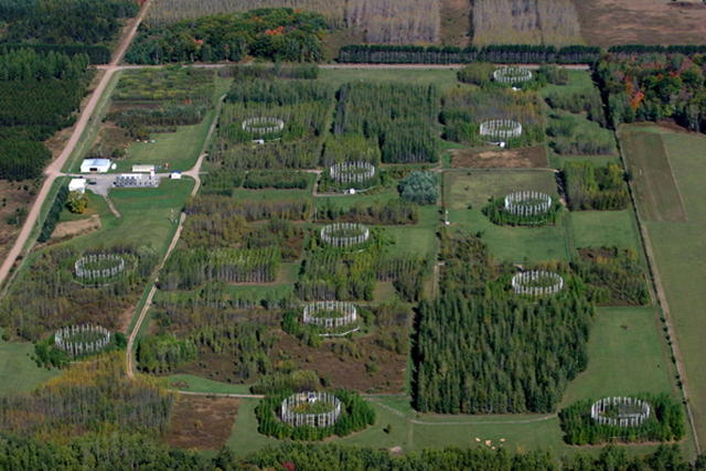 An aerial view of the Aspen Free-Air Carbon dioxide and ozone Enrichment (Aspen FACE) experiment site once located near Rhinelander, Wisconsin. The circular plots consist of aspen and birch trees, surrounded by PVC pipes that allowed scientists to vent carbon dioxide and ozone gas into the air around the trees. Photo: Rick Anderson / Skypixs Aerials