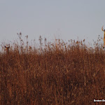 DSCF1121.JPG