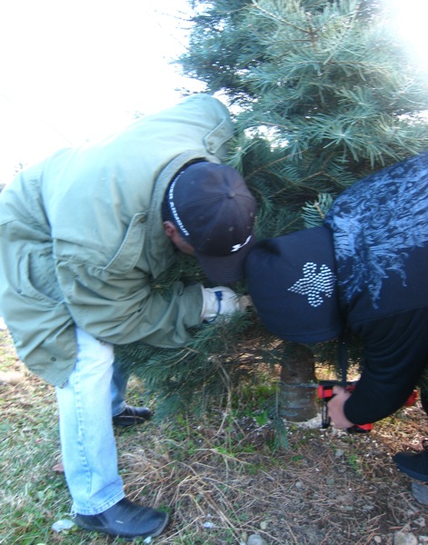 IMG_2285.jpg IMG 2285