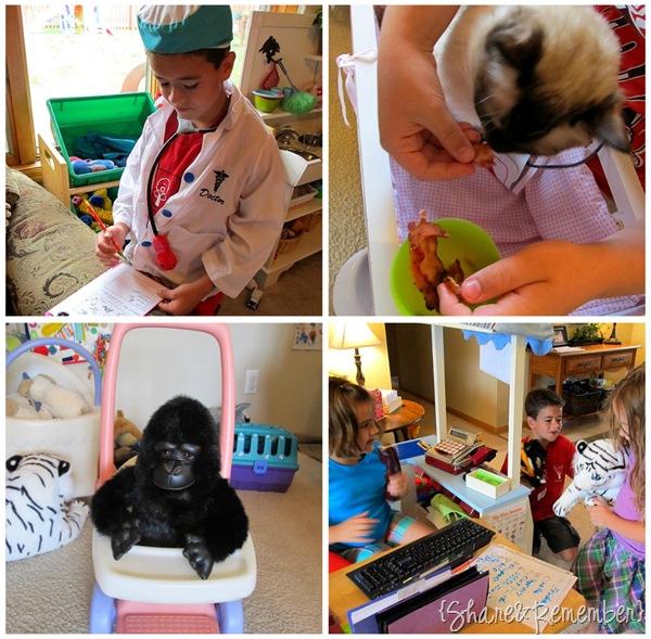 Pet Vet Dramatic Play 8 Pet Vet Dramatic Play 8