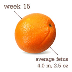 week 15