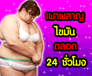 สิลีนนี่  บายทิพย์สตอรี่ SILEENY By THIP STORY 