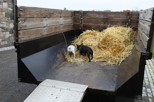 That's it, Sharkey.  We need to load the old hay onto this truck.