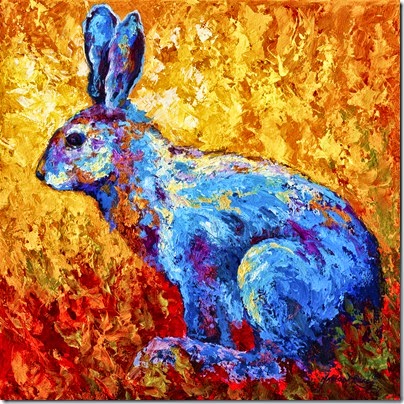 1-jackrabbit-marion-rose