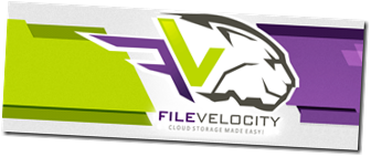 Filevelocity Java Script Updated 26-6-2012