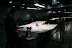 View IMG_5456.JPG