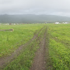 SONY DSC